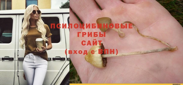apvp Белокуриха