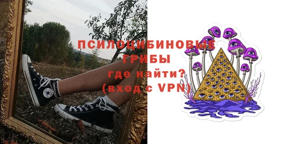 apvp Белокуриха