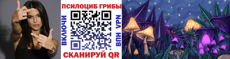 Галлюциногенные грибы мицелий  купить наркотики сайты  Кемерово 